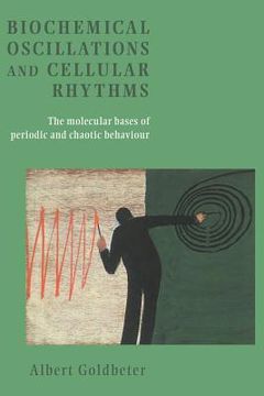 portada Biochemical Oscillations and Cellular Rhythms Paperback: The Molecular Bases of Periodic and Chaotic Behaviour (en Inglés)