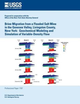 portada Brine Migration from a Flooded Salt Mine in the Genesee Valley, Livingston County, New York: Geochemical Modeling and Simulation of Variable-Density F (en Inglés)