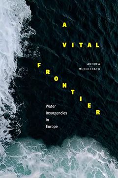 portada A Vital Frontier: Water Insurgencies in Europe 