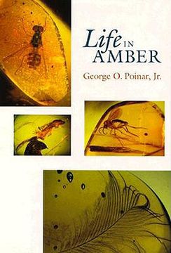 portada life in amber (in English)