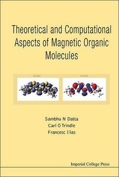 portada theoretical and computational aspects of magnetic organic molecules (en Inglés)