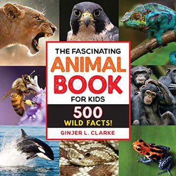 portada The Fascinating Animal Book for Kids: 500 Wild Facts! (en Inglés)