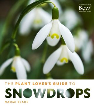portada Plant Lovers Guide to Snowdrops (Plant Lover's Guides) (in English)