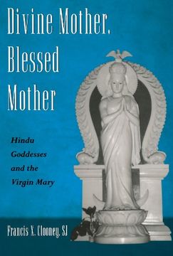 portada Divine Mother, Blessed Mother: Hindu Goddesses and the Virgin Mary (in English)