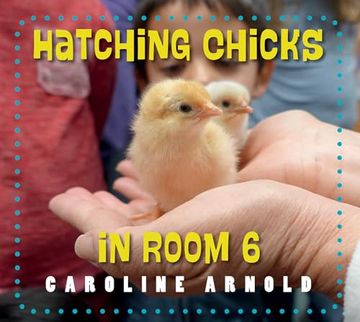 portada Hatching Chicks in Room 6 (en Inglés)
