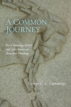 portada a common journey: black theology (usa) and latin american liberation theology (in English)