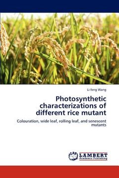 portada photosynthetic characterizations of different rice mutant (en Inglés)