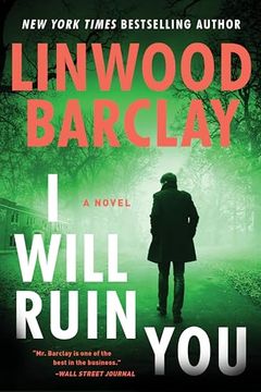 portada I Will Ruin You: A Novel (en Inglés)