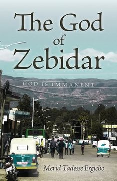 portada The God of Zebidar (en Inglés)