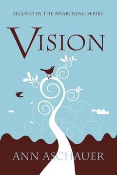 portada vision (in English)