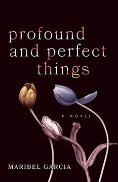 portada Profound and Perfect Things: A Novel (in English)