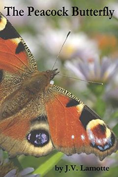 portada The Peacock Butterfly
