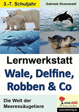 portada Lernwerkstatt Wale, Delfine, Robben & Co. Die Welt der Meeressäugetiere: Die Welt der Meeressäugetiere (en Alemán)