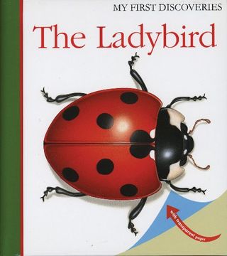 portada The Ladybird (my First Discoveries) (en Inglés)