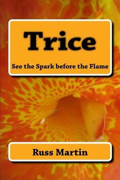 portada Trice: See the Spark before the Flame: See the Spark before the Flame (en Inglés)