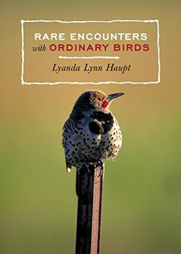 portada Rare Encounters With Ordinary Birds (in English)