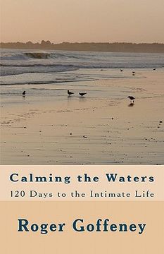 portada calming the waters (en Inglés)