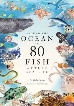 portada Around the Ocean in 80 Fish and Other sea Life (en Inglés)