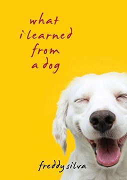 portada What I Learned From A Dog (en Inglés)