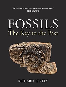 portada Fossils: The Key to the Past (en Inglés)
