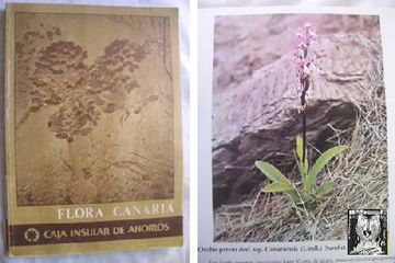 portada Flora Canaria