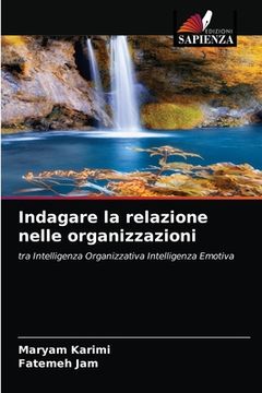 portada Indagare la relazione nelle organizzazioni (in Italian)