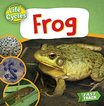 portada Frog (Life Cycles) (in English)