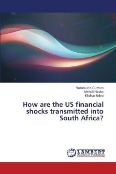 portada How Are the Us Financial Shocks Transmitted Into South Africa?