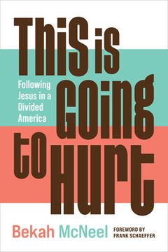 portada This Is Going to Hurt: Following Jesus in a Divided America (en Inglés)