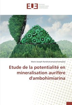 portada Etude de la Potentialité en Mineralisation Aurifère D'ambohimiarina (en Francés)