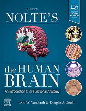 portada Nolte's the Human Brain: An Introduction to its Functional Anatomy (in English)