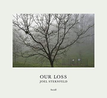 portada Joel Sternfeld: Our Loss (en Inglés)