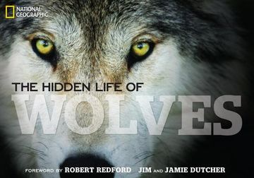portada The Hidden Life of Wolves (en Inglés)