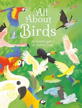 portada All About Birds 