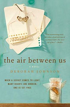 portada The air Between us: A Novel (in English)