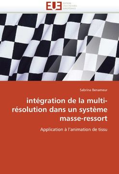 portada Integration de La Multi-Resolution Dans Un Systeme Masse-Ressort