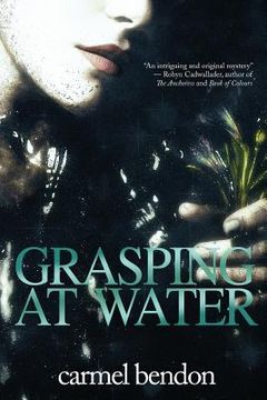 portada Grasping at Water (in English)