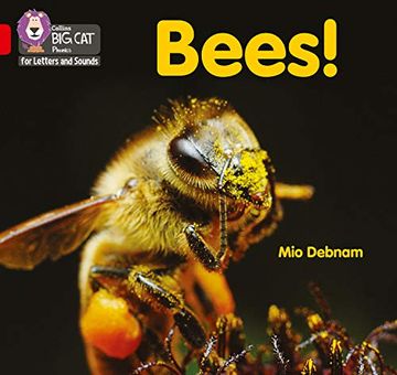 portada Bees! Band 02b (en Inglés)