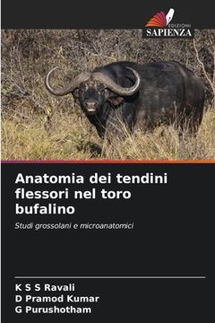 portada Anatomia dei tendini flessori nel toro bufalino (en Italiano)