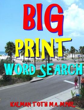 portada Big Print Word Search: 133 Entertaining Themed Puzzles (en Inglés)