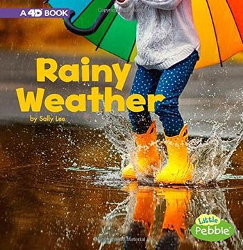 portada Rainy Weather: A 4d Book (All Kinds of Weather) 