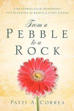 portada from a pebble to a rock (en Inglés)