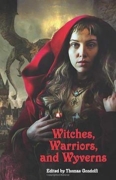 portada Witches, Warriors, and Wyverns (en Inglés)