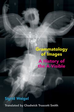 portada Grammatology of Images: A History of the A-Visible (Commonalities) (in English)