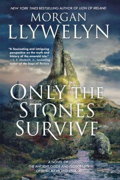 portada Only the Stones Survive: A Novel (in English)