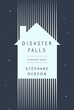 portada Disaster Falls: A Family Story (en Inglés)