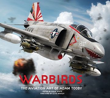 portada Warbirds: The Aviation art of Adam Tooby 