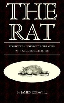 portada the rat; its history & destructive character