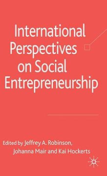 portada International Perspectives on Social Entrepreneurship (en Inglés)