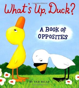 portada What's up, Duck? A Book of Opposites (Duck & Goose) (in English)